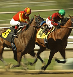 horses-racing.jpg
